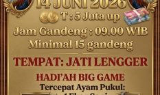 Warga Soroti Kontes Ayam Bangkok Berhadiah Fantastis di Jati Lengger, Muncul Dugaan Indikasi Perjudian