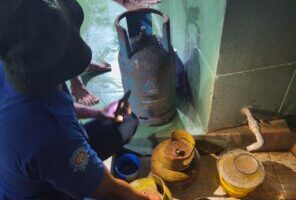 Dua Unit Damkar Sumenep Diterjunkan, Kebakaran di Kerta Timur Berhasil Dipadamkan