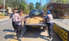 Cegah Kecelakaan, Polsek Wringin Gerak Cepat Tangani Tumpahan Solar di Jalan
