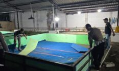 Respon Laporan Warga, Polresta Sidoarjo Bongkar Arena Sabung Ayam di Dua Lokasi