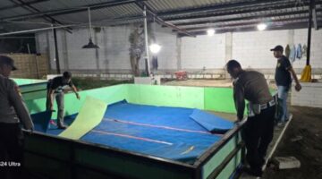 Respon Laporan Warga, Polresta Sidoarjo Bongkar Arena Sabung Ayam di Dua Lokasi